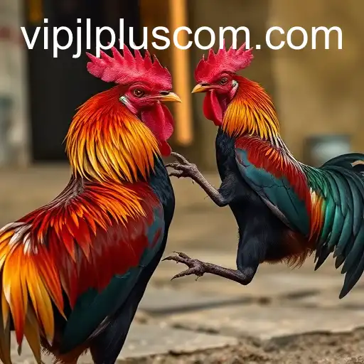 The Controversial World of Cockfighting: An In-Depth Exploration